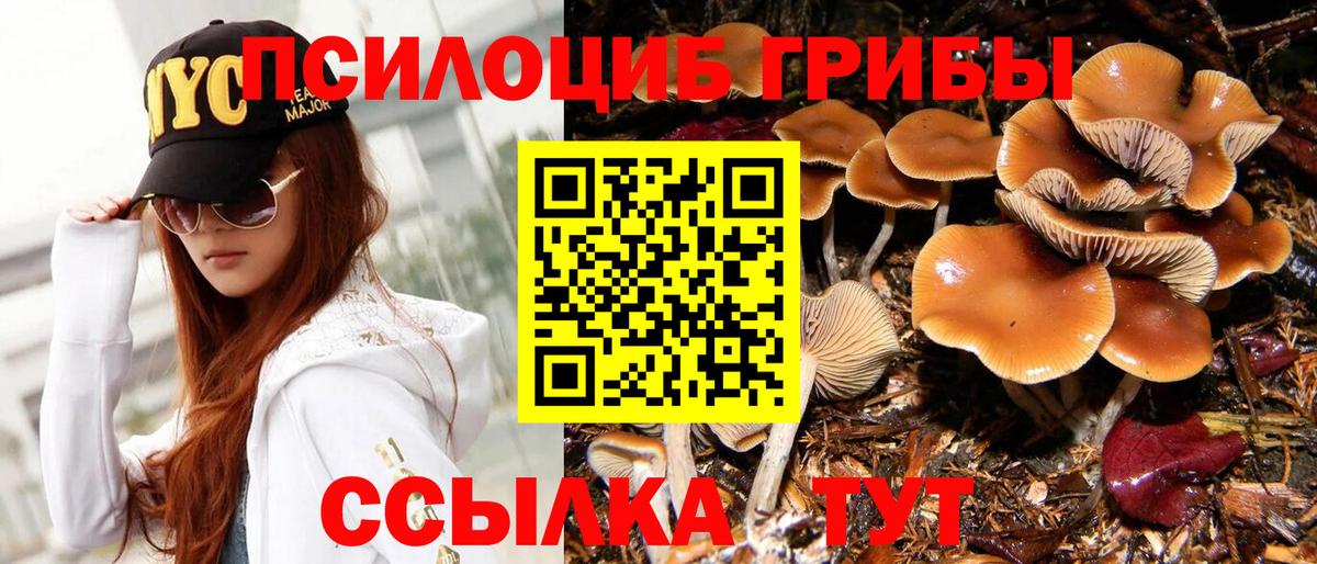 Галлюциногенные грибы Cubensis  Вход с VPN  Видное 